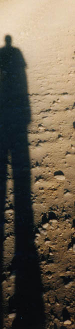 Limbs Falling to Greet the Rising Dust